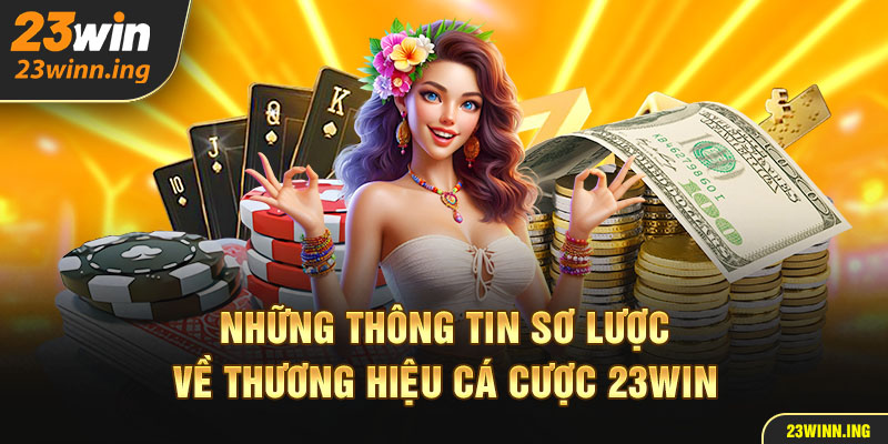 Những thông tin sơ lược về thương hiệu cá cược 23win