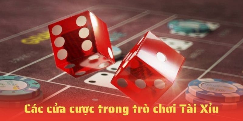 Phong phú các loại cược phổ biến tại tài xỉu 23WIN